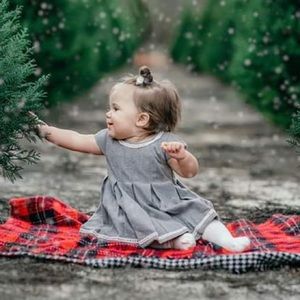 Tahari 6-9 month baby girl pleated holiday dress